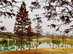 -眉山湿地公园(东坡区)