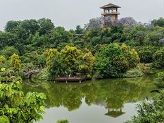-张坝桂圆林公园