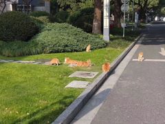 -中共上海市委党校 上海行政学院