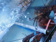 -阿弟特色海鲜餐厅·大排档(平潭店)