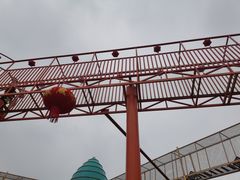 -空港花田景区
