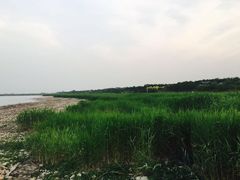 -卢沟桥文化旅游区