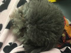 -敏敏足道(龙西路店)