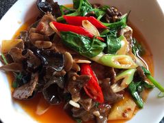 -肖仙仙羊肉汤·始于1996年(郫都店)