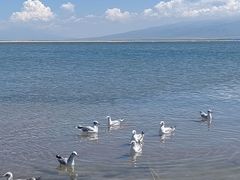 -青海湖国家重点风景名胜区