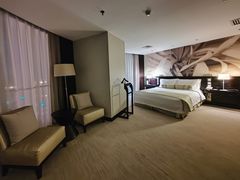 -国家会议中心大酒店