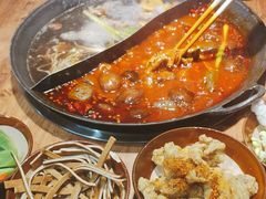 -楠火锅(哈尔滨金爵万象店)