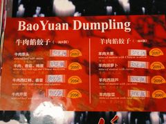 -宝源饺子(麦子店街店)