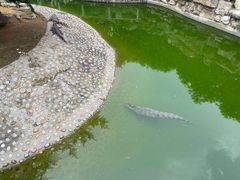 -石家庄市动物园