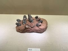 -衢州市博物馆