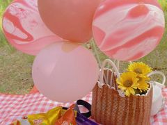 -长春市南湖公园