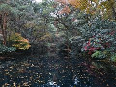 -浙江大学(之江校区)