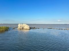 -上海吴淞炮台湾国家湿地公园