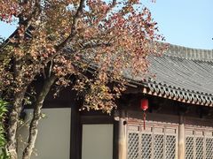 -江心屿景区