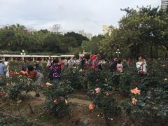 -人民公园(罗湖区)