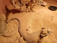 -多彩贵州城极地海洋世界