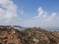 -东极岛景区-青浜岛