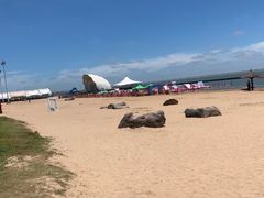 -碧海金沙