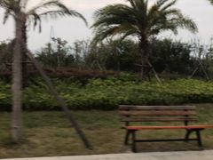 -琅岐红光湖公园