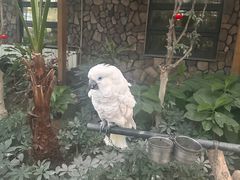 -南宫五洲植物乐园