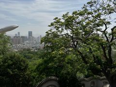 -兰山公园