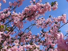 -同济大学(嘉定校区)