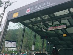 -浙江农林大学(东湖校区)