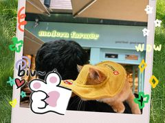 -瑞虹新天地月亮湾