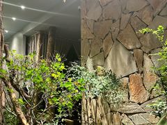 -森SPA·泰式按摩·精油Massage(宝安中心店)