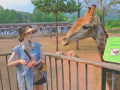 -大连森林动物园