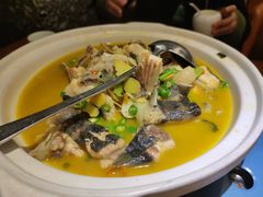 -饭怕鱼·黄焖鲟龙鱼(湖大店)