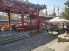 -尚庄度假村·庭台树下·户外烧烤·团建CS·轰趴营地(上庄水库店)