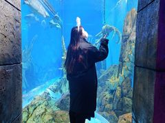 -哈尔滨波塞冬海底世界