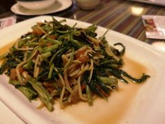酸笋通心菜-呐咪傣园·云南菜(石厦店)