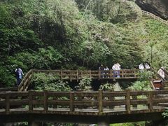 -龙水峡地缝景区