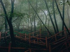 -大岭沟猕猴桃谷风景区