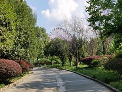 -成都南湖公园