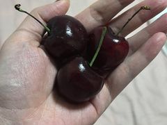 -麦德龙(郑东店)