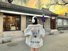 -北京国子监胡同