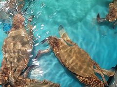 -拉完海鲜大排档(温岭店)