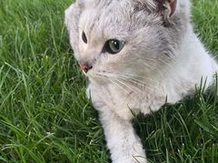 -美家乐农庄·露营·团建(大治路店)