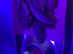 -M-MIX电音烤吧