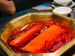牛油锅中锅-蜀九香火锅(李家沱店)