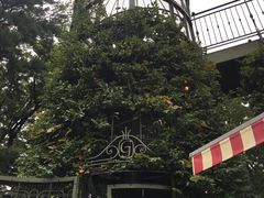 -三鹰之森吉卜力美术馆