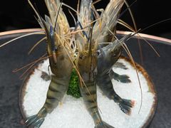 -红鼎豆捞·非遗鲍皇汤火锅(宝丰路店)