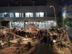 -自贡恐龙博物馆