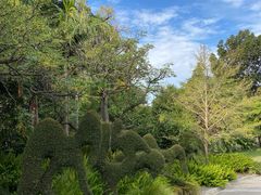 -墨尔本皇家植物园