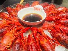 精品冰镇蓝龙虾-红盔甲·小龙虾(人民广场店)