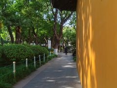 -常州古运河南大街文化旅游区-人民公园