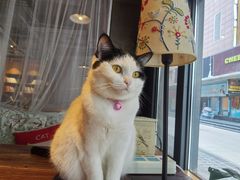 -么么咖啡(燕郊店)